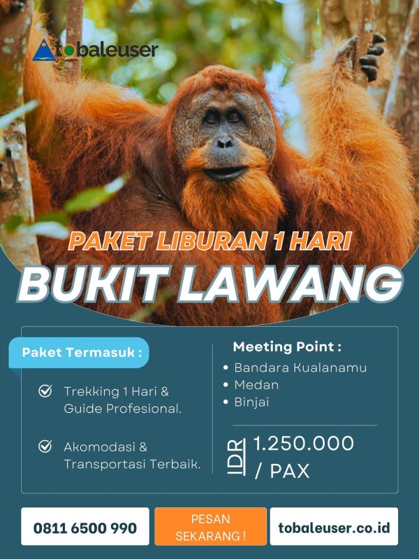 Bukit Lawang 1 Day Trip Trekking