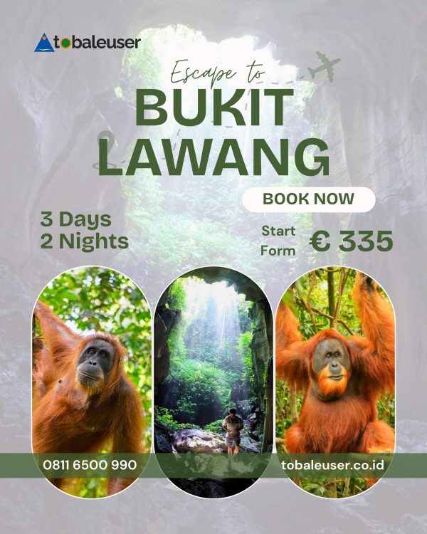 3D2N Bukit Lawang