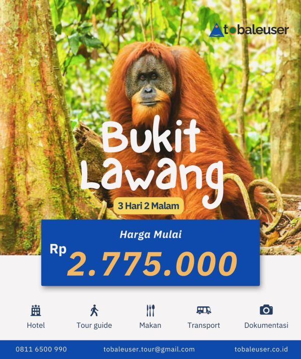 3H2M Bukit Lawang
