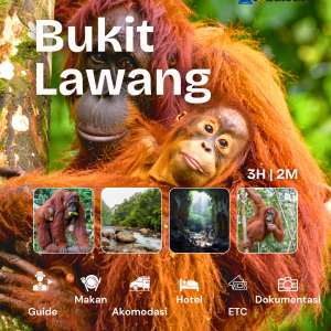 3H2M Bukit Lawang